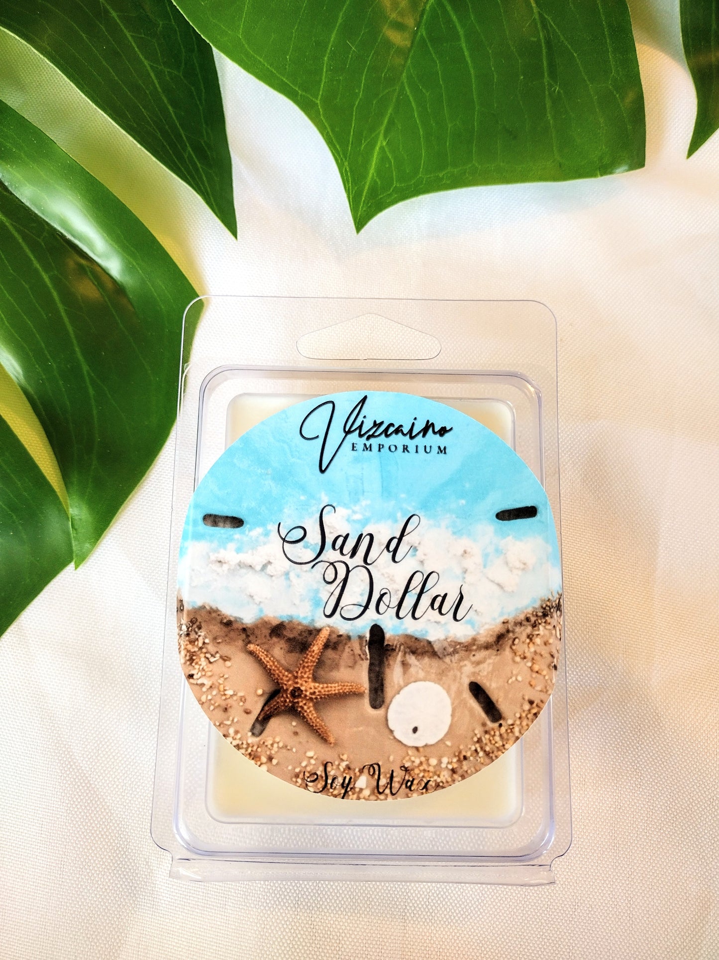 Sand Dollar