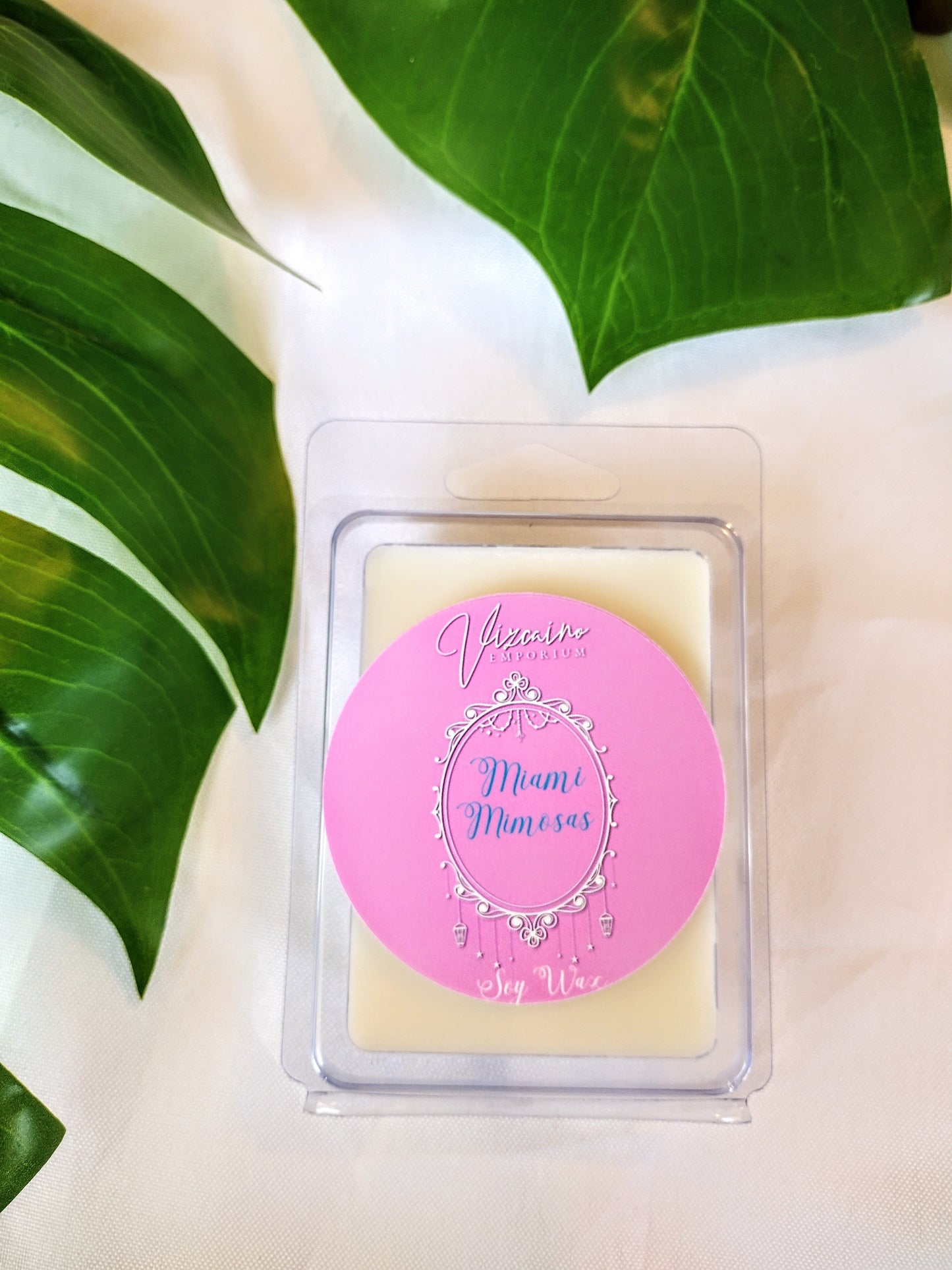 Miami Mimosa